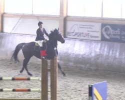 jumper Reila 10 (Hanoverian, 2006, from Royaldik)