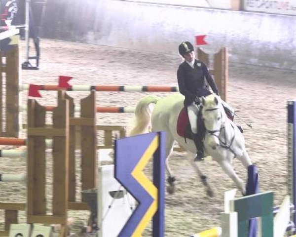 broodmare Cirque du Solei (Westphalian, 2000, from Coronado I)