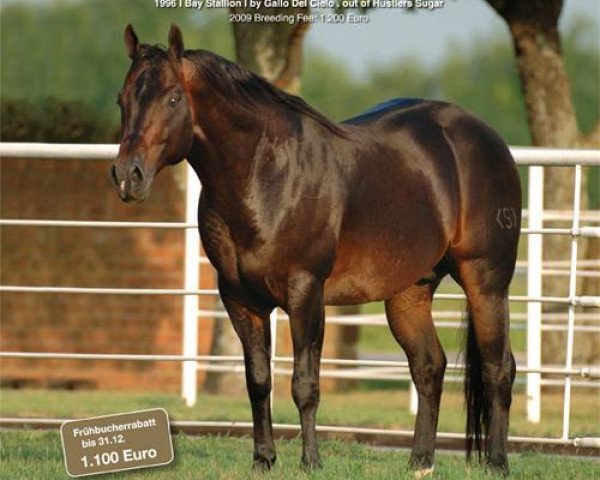 Deckhengst Roosters Wrangler (Quarter Horse, 1996, von Gallo Del Cielo)