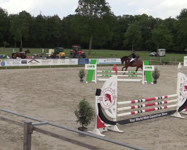 Reitturnier Nienberge-Schonebeck, Reitanlage Geßmann 2022