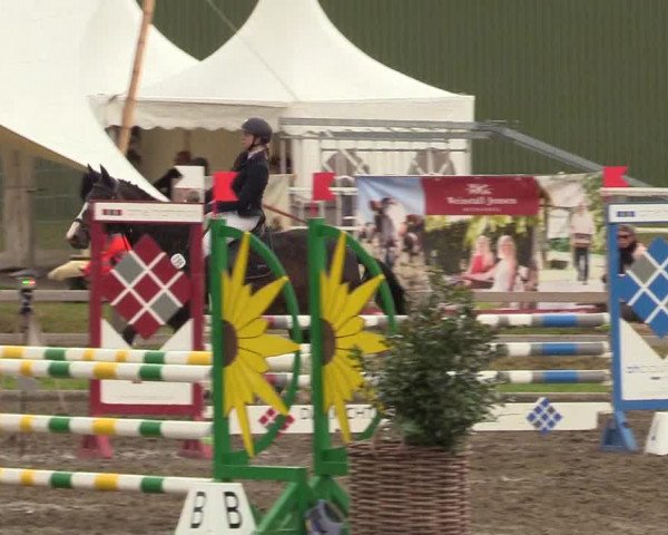 Reitturnier Kleinsolt 2022