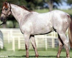 stallion Boonwhite Dancer (Quarter Horse, 2006, from Boonlight Dancer)