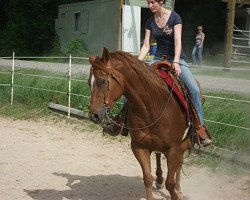 broodmare Lady Poco Enterprise (Quarter Horse, 1999, from Chex Enterprise)