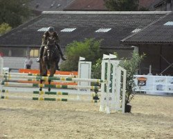 jumper Bye Bye (KWPN (Royal Dutch Sporthorse), 2006)