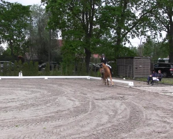 Reitturnier Schönwalde-Glien 2022