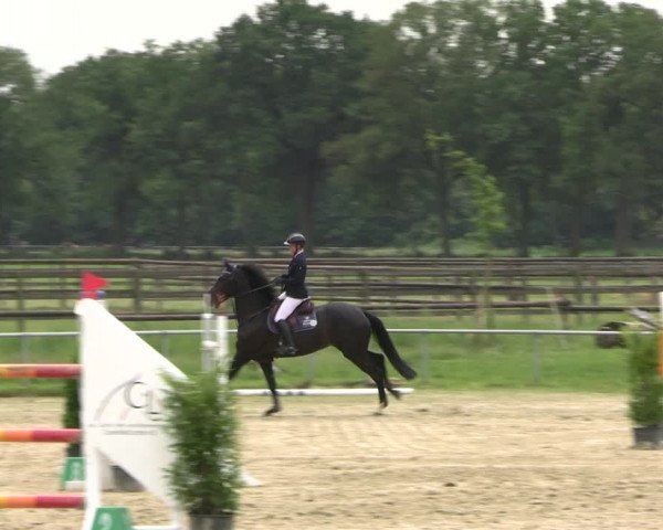 Reitturnier Coesfeld/Lette 2022