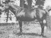 stallion Ben Brush xx (Thoroughbred, 1893, from Bramble xx)