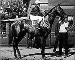 stallion Broomstick xx (Thoroughbred, 1901, from Ben Brush xx)