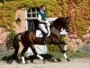 stallion Lord Sinclair III (Bavarian, 2000, from Lanciano)