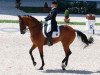 dressage horse Satchmo 78 (Hanoverian, 1994, from Sao Paulo)