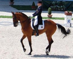 dressage horse Satchmo 78 (Hanoverian, 1994, from Sao Paulo)