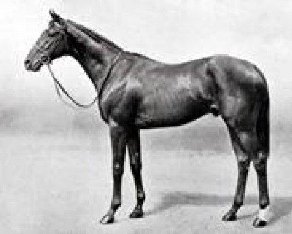 stallion Mirza II xx (Thoroughbred, 1935, from Blenheim II xx)