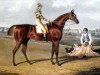 stallion Barefoot xx (Thoroughbred, 1820, from Tramp xx)