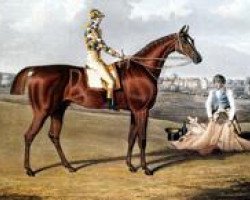 stallion Barefoot xx (Thoroughbred, 1820, from Tramp xx)