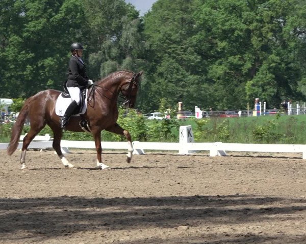 Reitturnier Alvern 2022