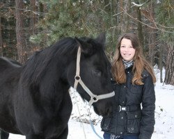 Pferd Little Black Lenatee (Quarter Horse, 2008, von Black Remus)