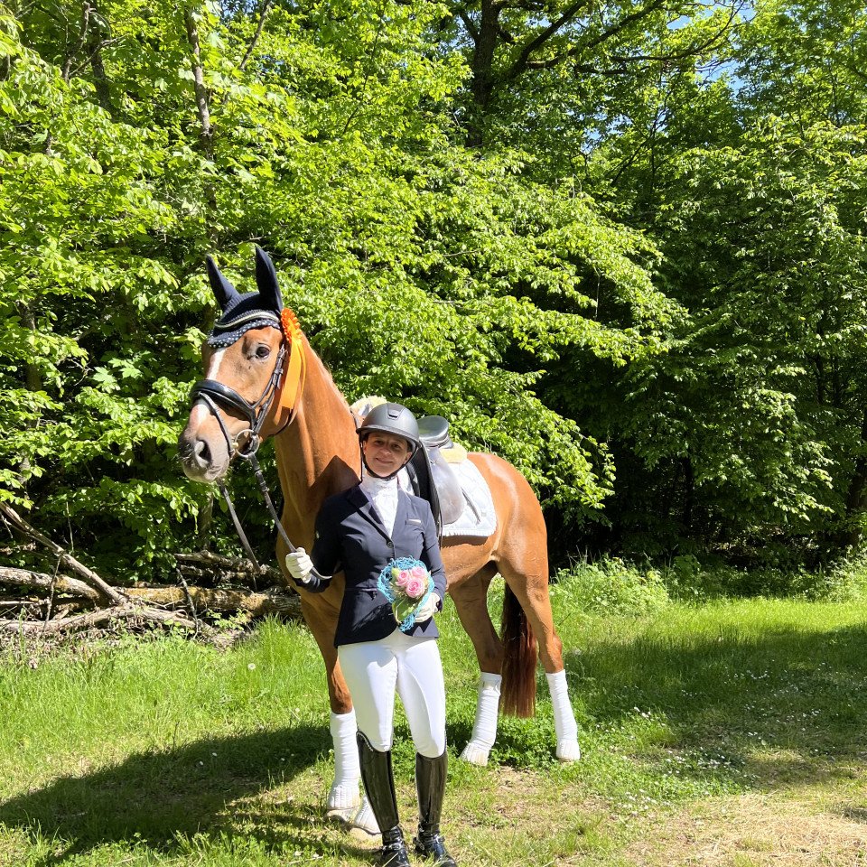 dressage horse Sarah U (Hanoverian, 2018, from Spörcken)