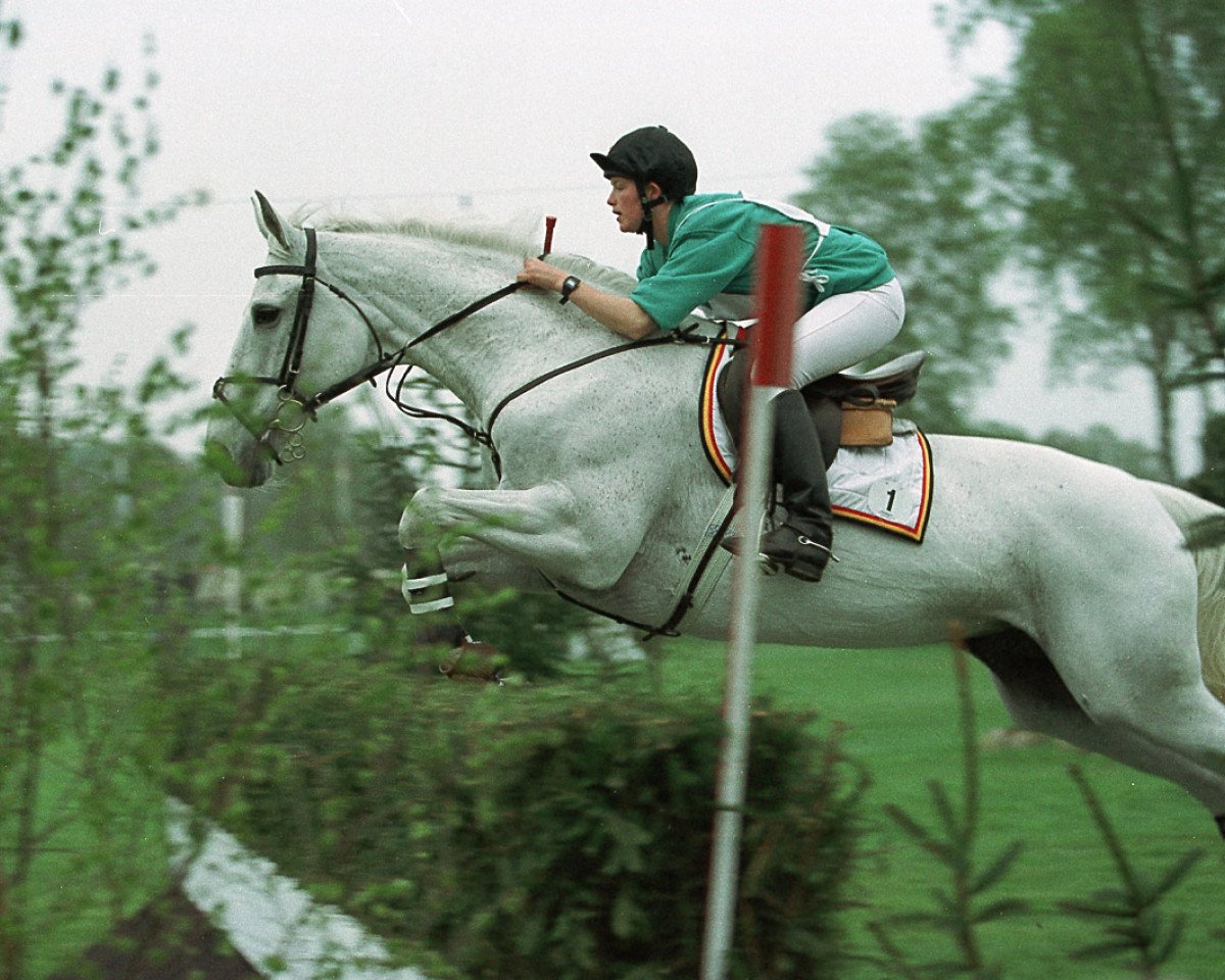 broodmare Britt (Belgian Warmblood, 1978, from Iseng)
