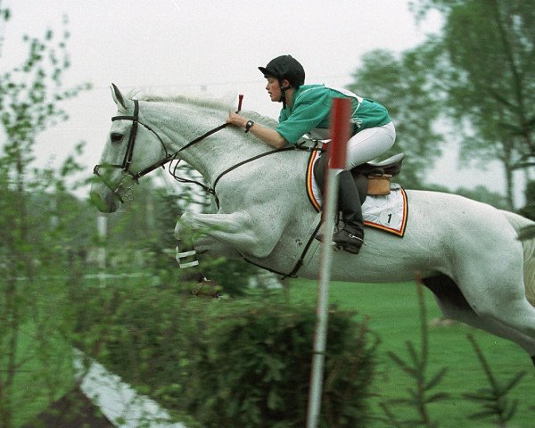 broodmare Britt (Belgian Warmblood, 1978, from Iseng)