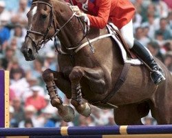 Pferd Big Ben (Belgisches Warmblut, 1976, von Etretat)