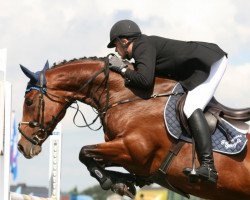 horse Babelia (Belgian Warmblood, 2001, from Flamenco de Semilly)