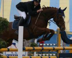 Zuchtstute Quite Lucky (Belgisches Warmblut, 1993, von Lucky Him van het Vijverbos)