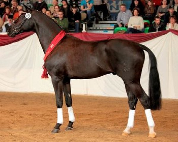 jumper Stockhausen (Bavarian, 2010, from Stockholm)