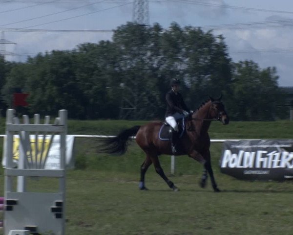 Reitturnier Jettsdorf 2022