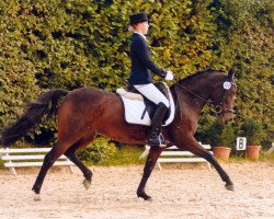 dressage horse Penny Lane (German Riding Pony, 1997, from Power Man)