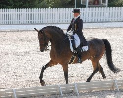 dressage horse Rosselini G (Oldenburg, 1996, from Rohdiamant)