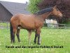 broodmare Farah (Rhinelander, 2003, from Florestan I)