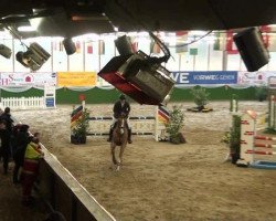 jumper Balanco (Hanoverian, 2007, from Baloubet du Rouet)