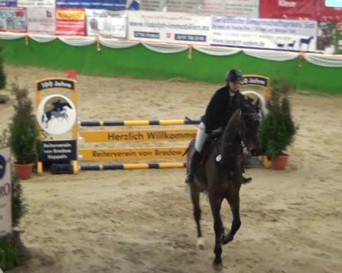 jumper Chopin 95 (Rhinelander, 2008, from Completto 2)