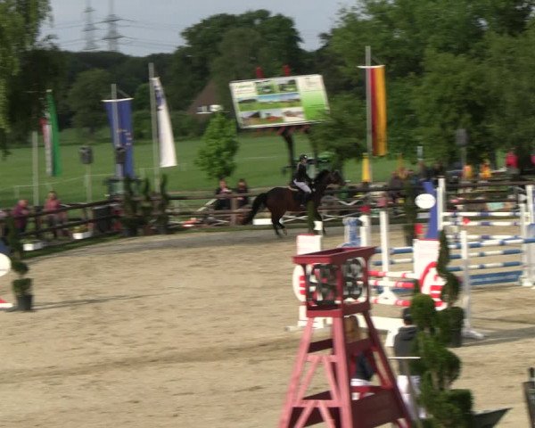 Reitturnier Kirchhellen/Stall Dieckmann 2022
