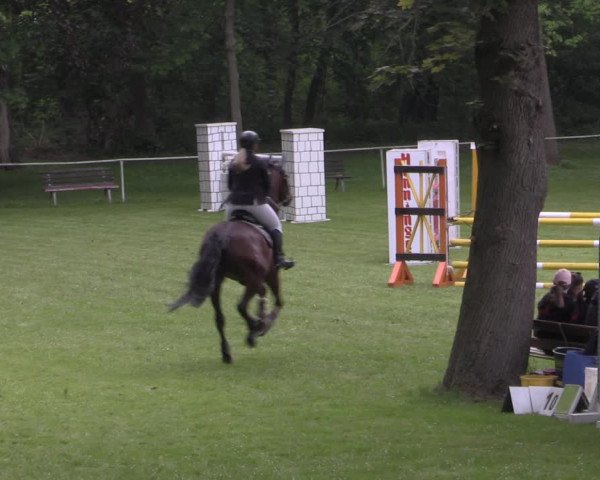 Reitturnier Helmsdorf 2022