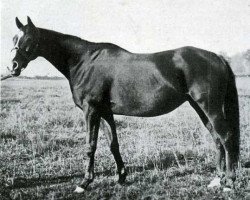 broodmare Ramondie xx (Thoroughbred, 1920, from Neil Gow xx)