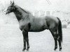 Pferd Chateau Bouscaut xx (Englisches Vollblut, 1927, von Kircubbin xx)