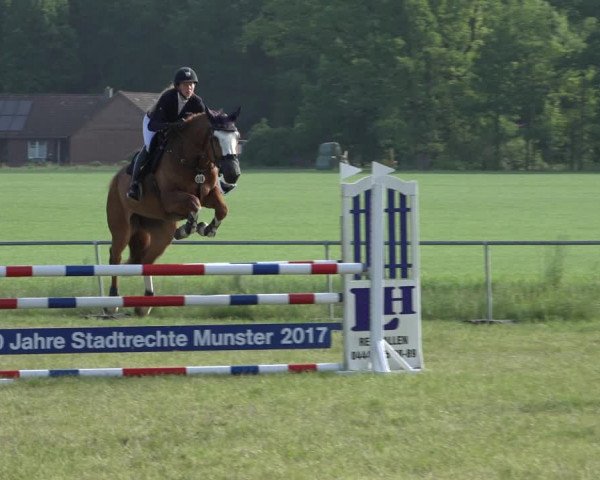 Reitturnier Alvern 2022