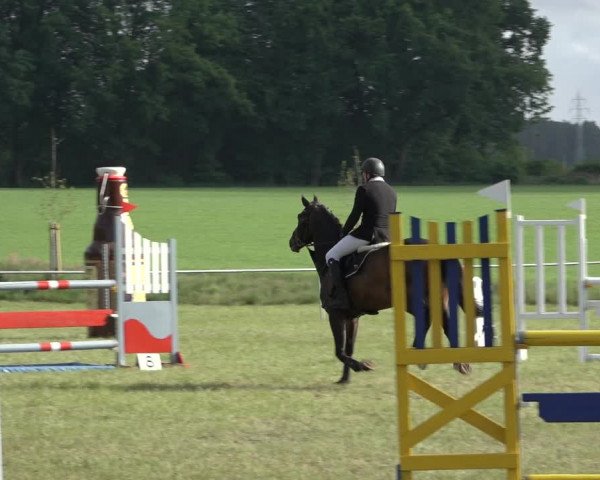 Reitturnier Alvern 2022