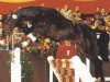stallion Clinton (Oldenburg, 1990, from Contender)