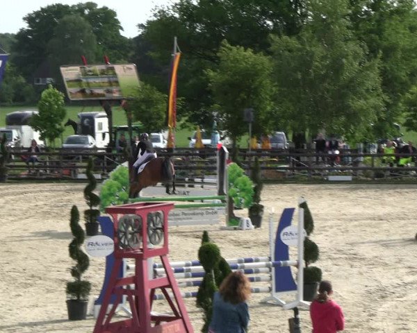 Reitturnier Kirchhellen/Stall Dieckmann 2022