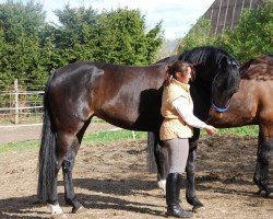 broodmare Rubin-chanell (Oldenburg, 2003, from Rubin Royal OLD)