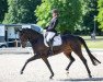 dressage horse Buena Dimaggia (Hanoverian, 2016, from Bon Coeur)