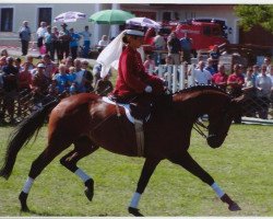 Pferd Fleur (Österreichisches Warmblut, 1987, von Odlot)