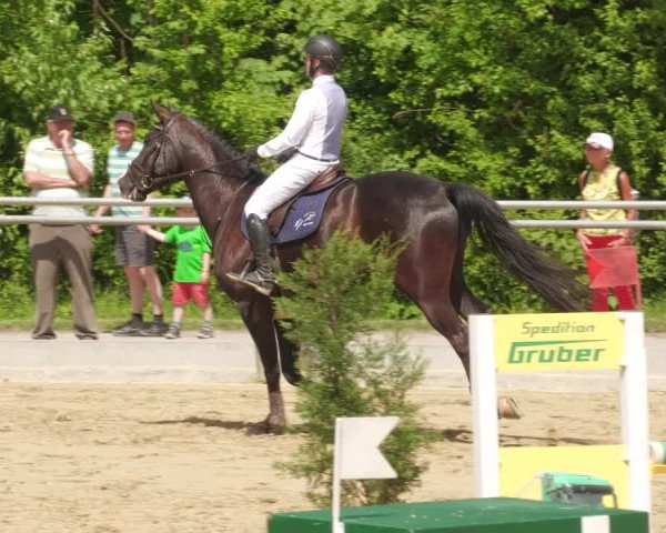 Reitturnier Winnenden 2022