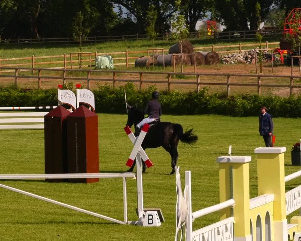 Reitturnier Ruhlsdorf 2022