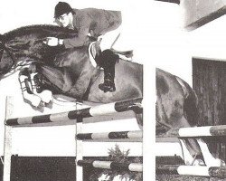 stallion April-Scherz (Zweibrücken, 1976, from Fuerst Agram)