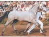 stallion Graphitano (Hanoverian, 1984, from Graphit)