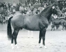 stallion Le Grand I (Holsteiner, 1984, from Lord)