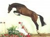 stallion Lentigo (Holsteiner, 1992, from Locato)